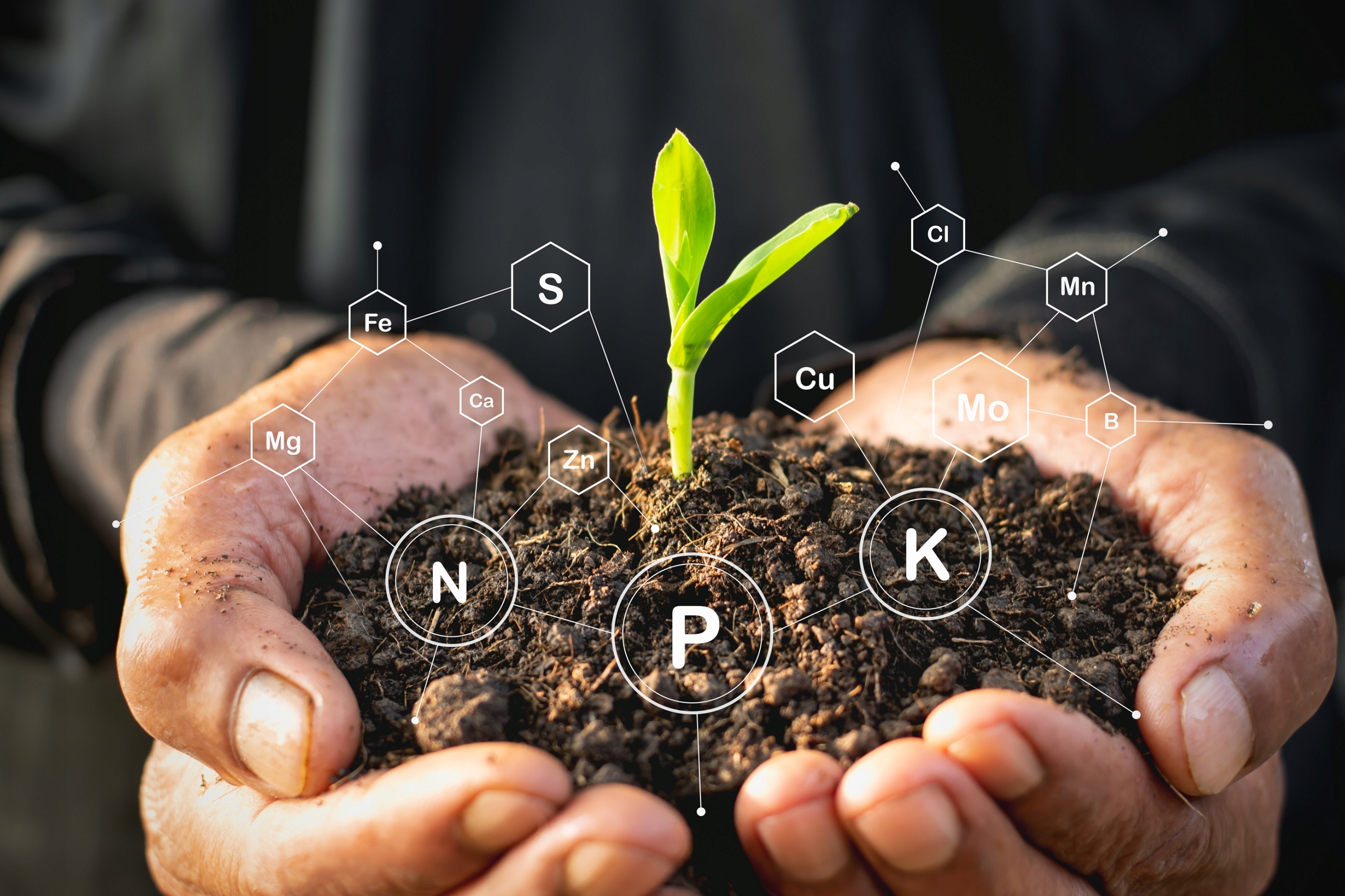 Nawóz płynny organiczny KYU HUMUS