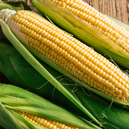 Nawóz wieloskładnikowy YARA MILA CORN 8-20-28